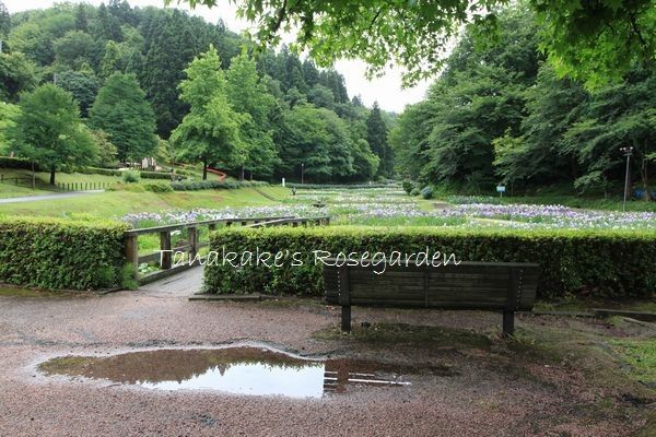 しらさぎ森林公園へ