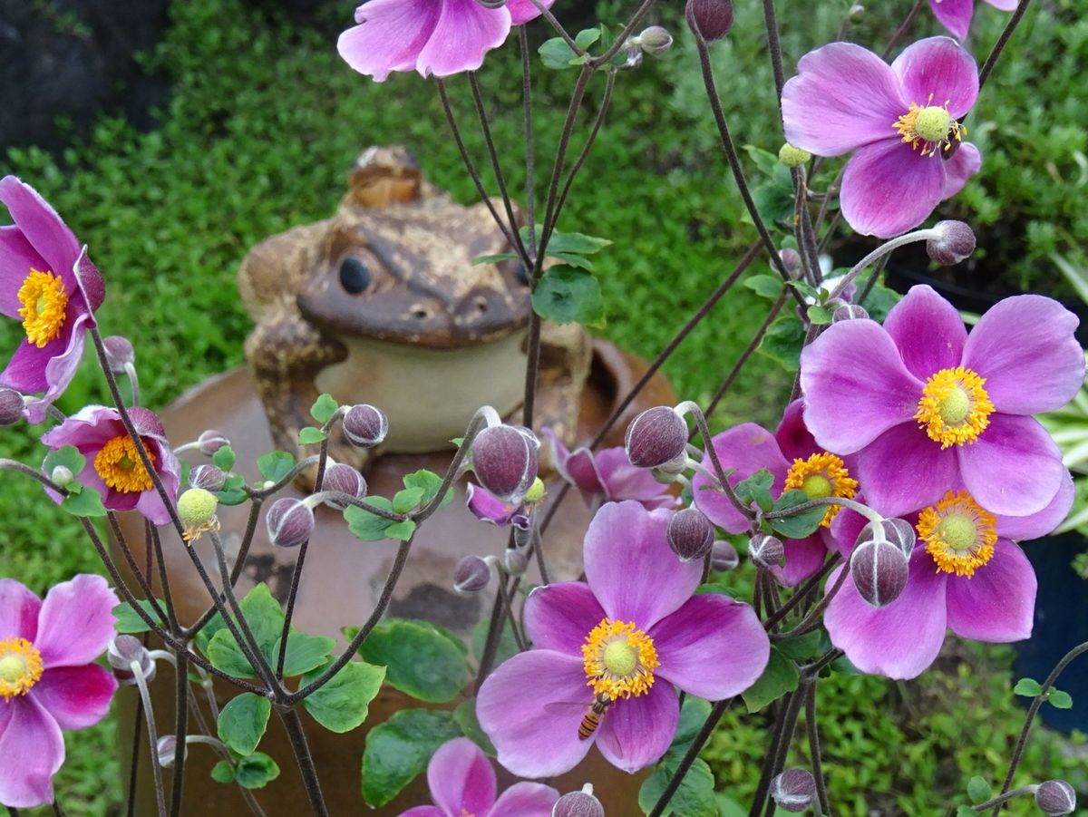 お気に入り