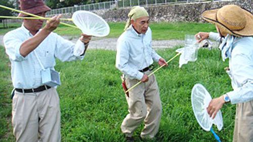 「秋の七草と鳴く虫展」明日から！