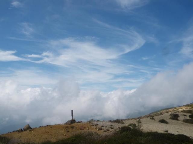 雲海