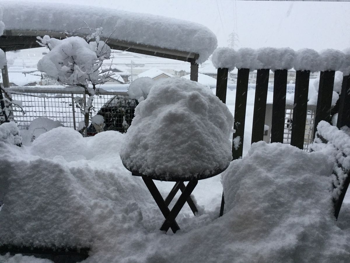 大雪被害