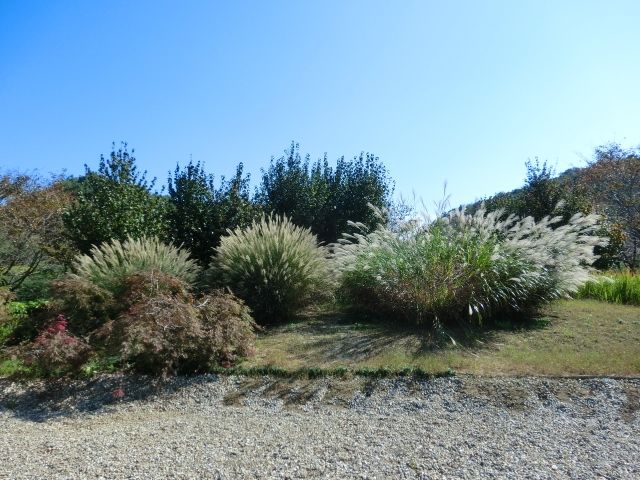 花フェスタ記念公園　②