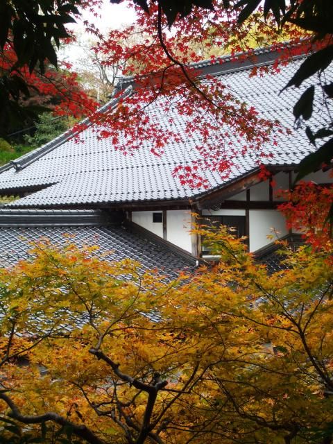 清水寺（島根県）紀行①