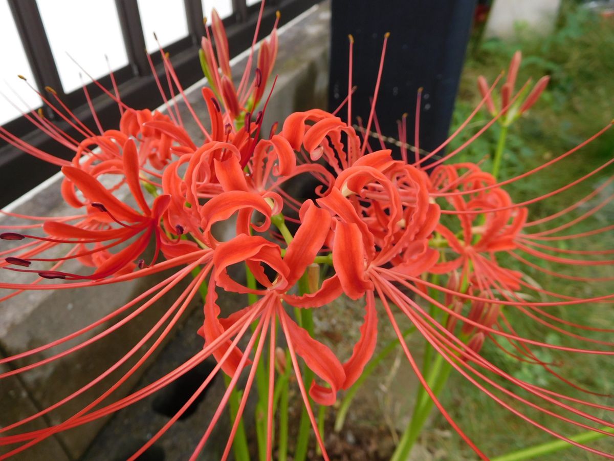 台風　近づいてきてます