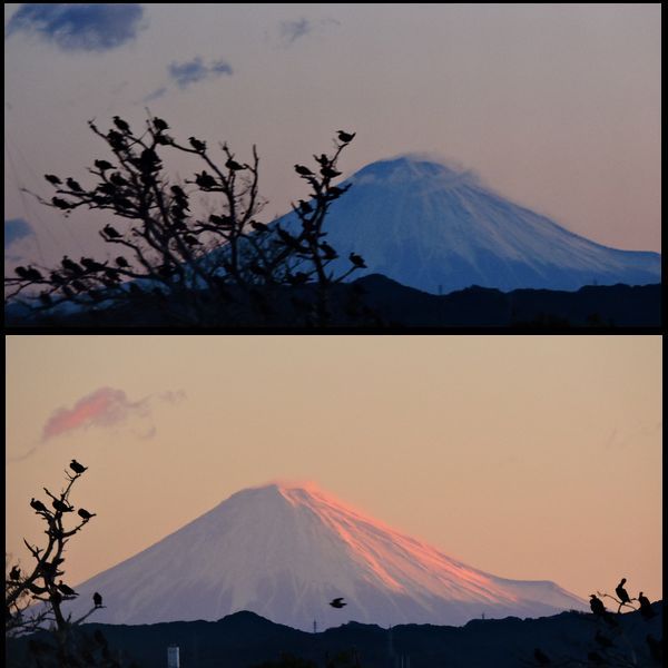 富士山くっきり。ウォーキングMS⑤322日目(1782日)