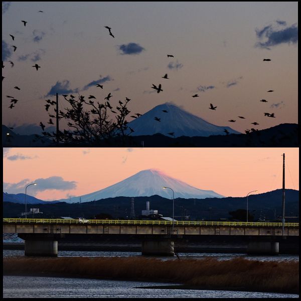 富士山くっきり。ウォーキングMS⑤322日目(1782日)