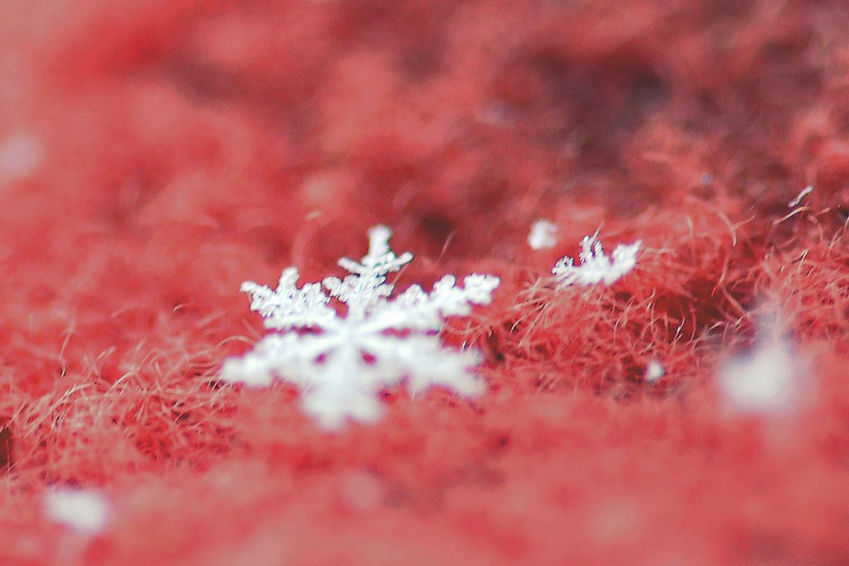 雪の結晶