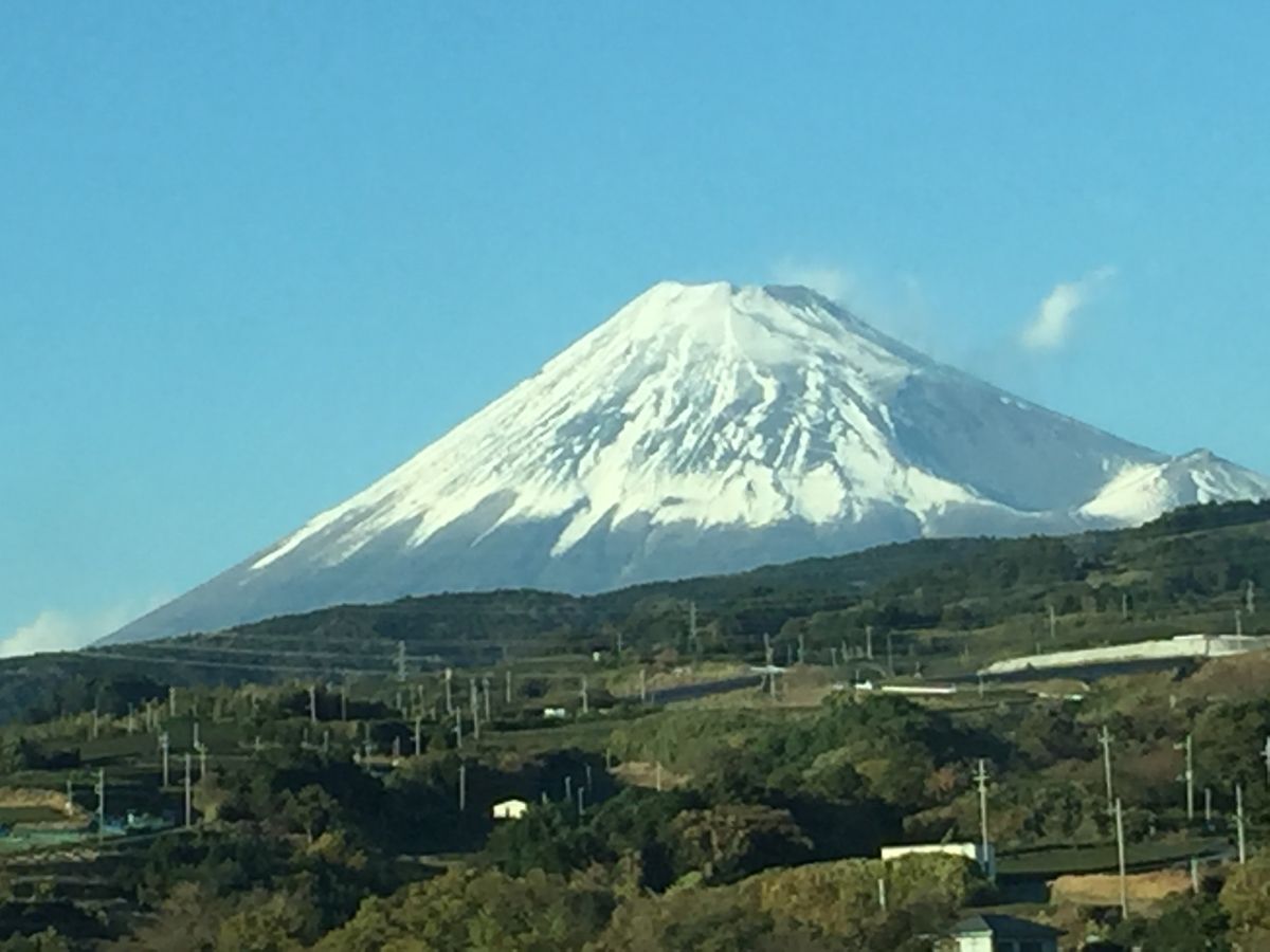 今年もよろしくお願い申し上げます