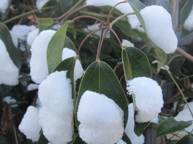 落ちる、降る、落ちる