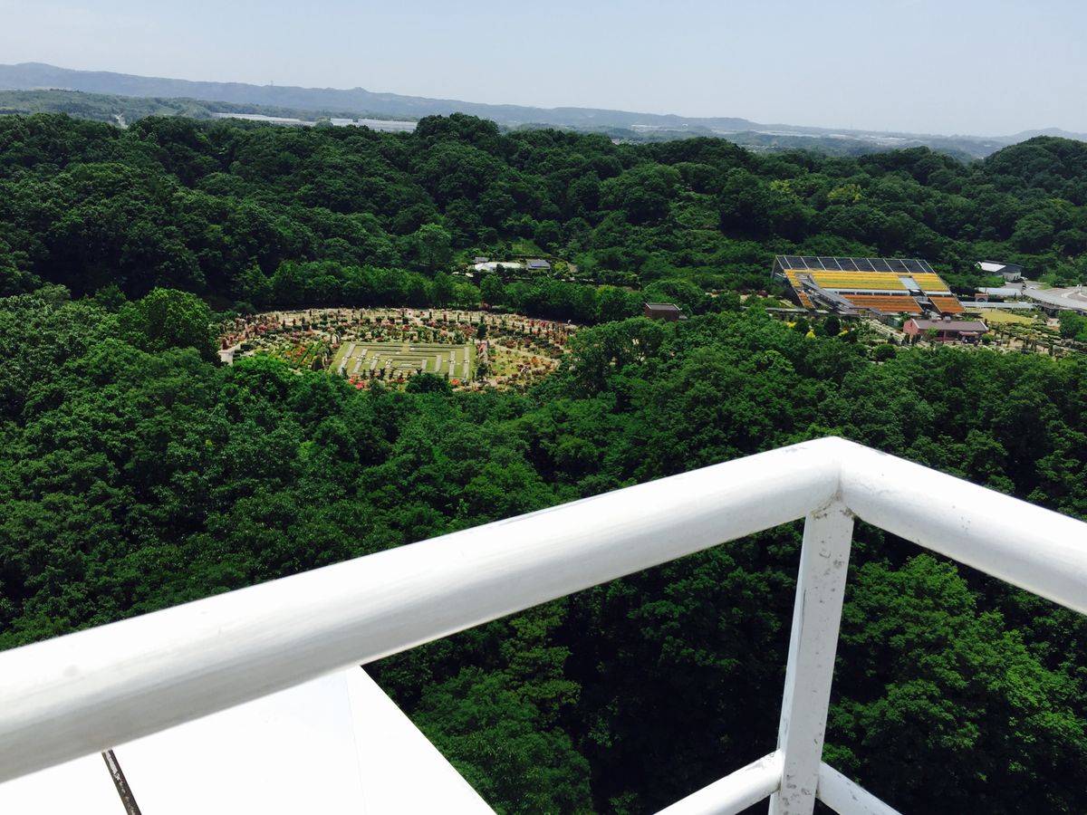 岐阜バラ祭り