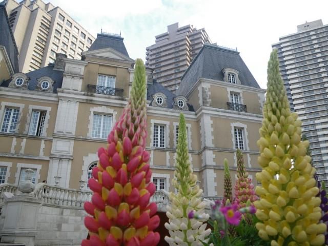 花のある風景（都会の中にも…）