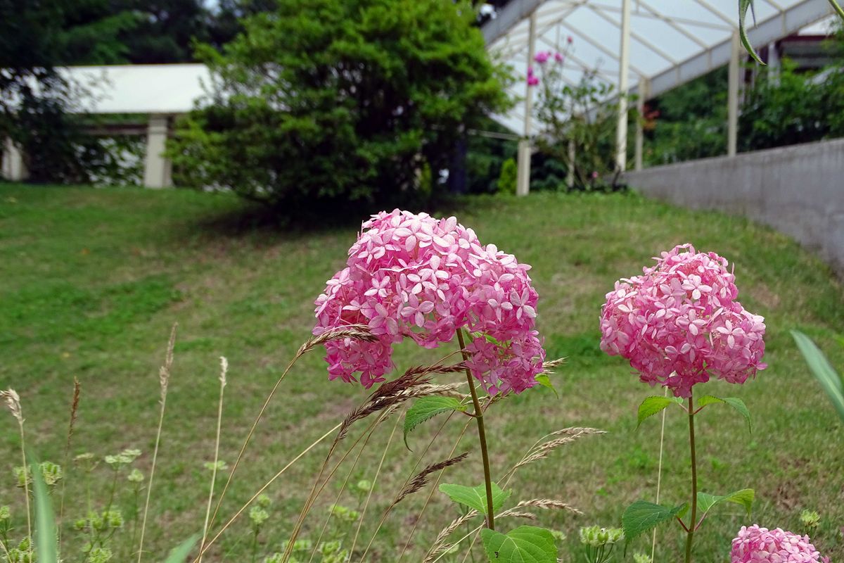 ほぼほぼピンで勝負です！