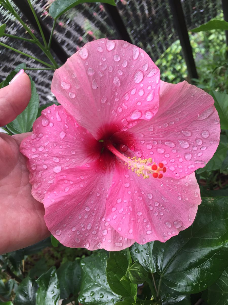 今日から9月