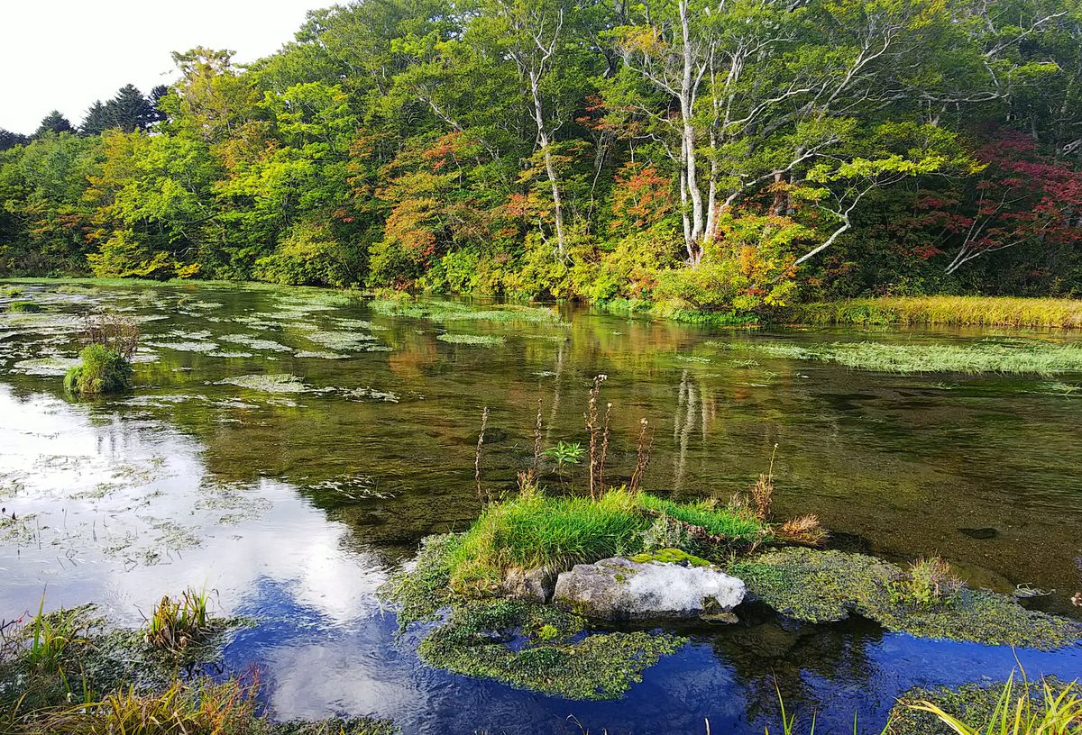 田代高原のグダリ沼の紅葉🍁