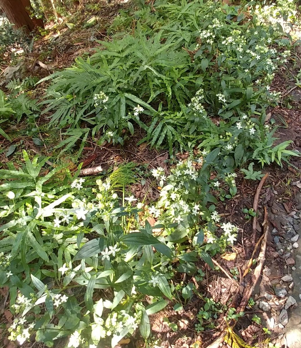 登山だったかも～💦…オマケ