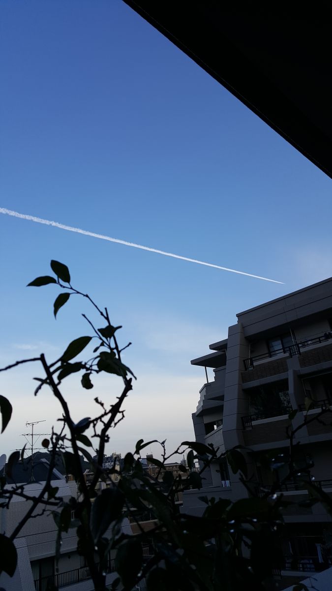 ふくおかルーバルガーデン2～秋の庭便り🍂❗朝の青空に一筋の飛行機✈雲
