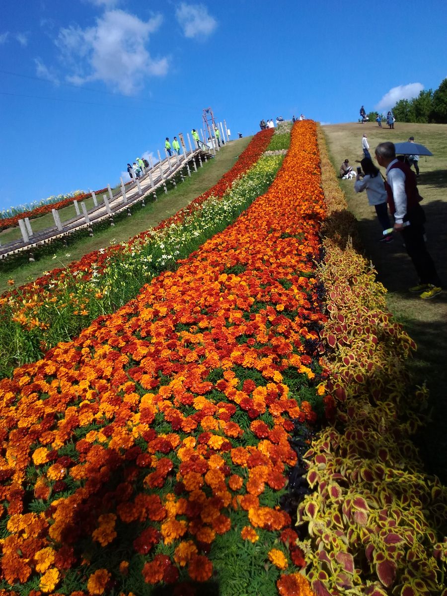 山口ゆめ花博に行って来ました～🎶