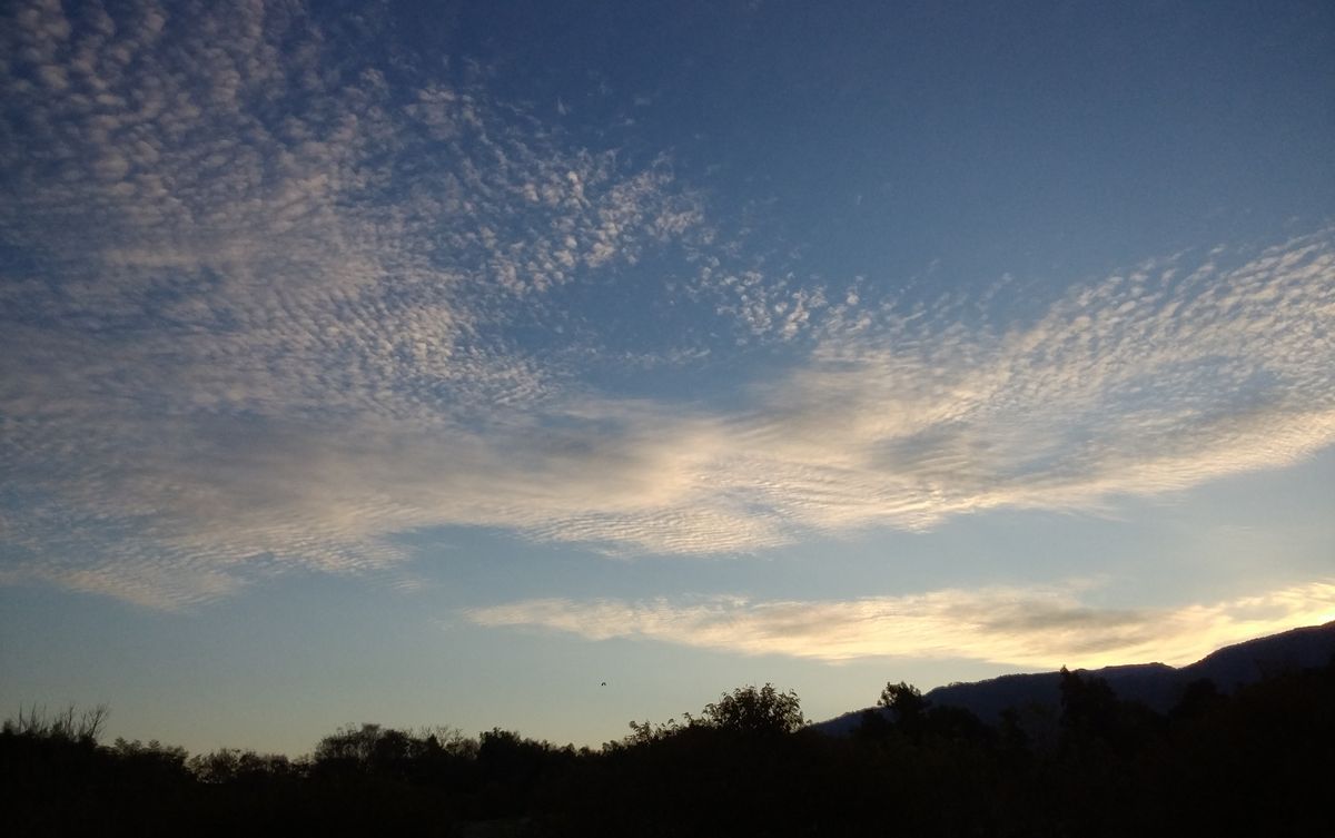 今朝の空