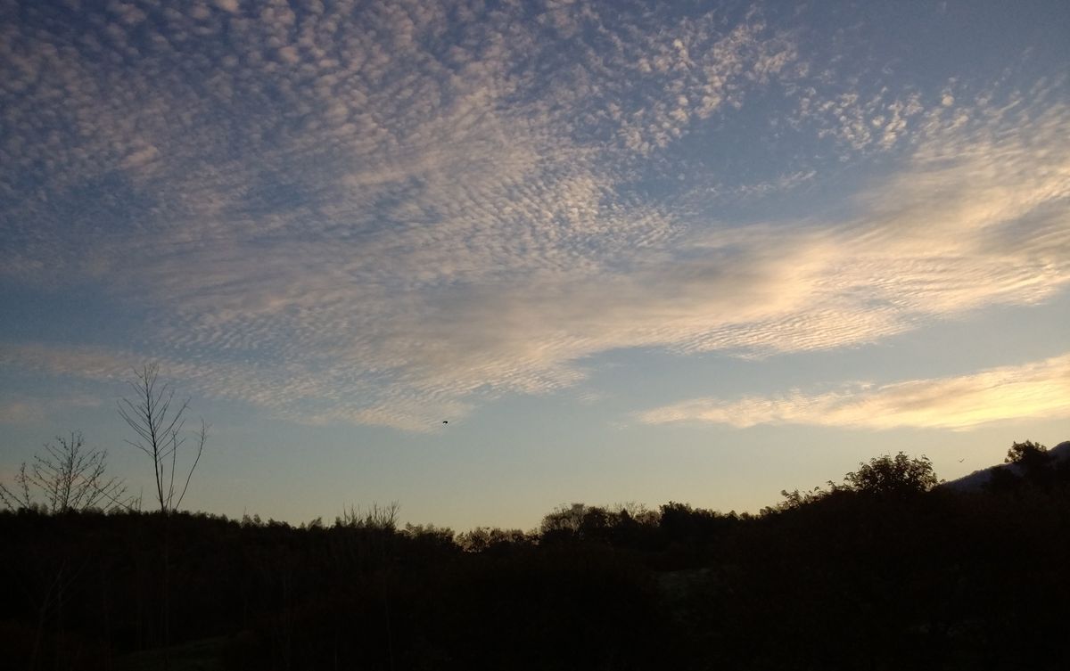 今朝の空