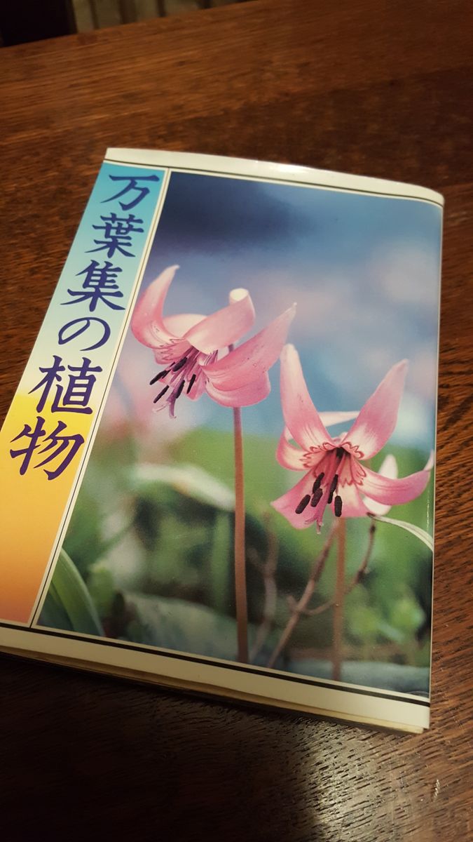 ふくおかルーバルガーデン2～冬の⛄🎄庭便り❗深夜便で日記を書いてます🌙