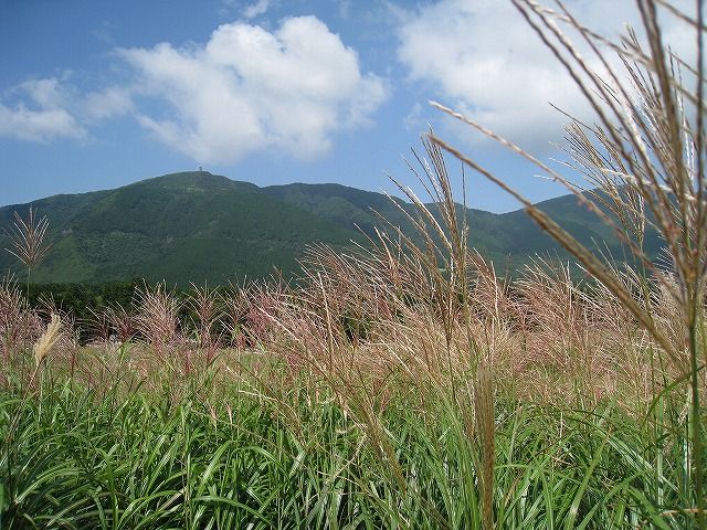 一足早く、箱根の千石原に行ってきました