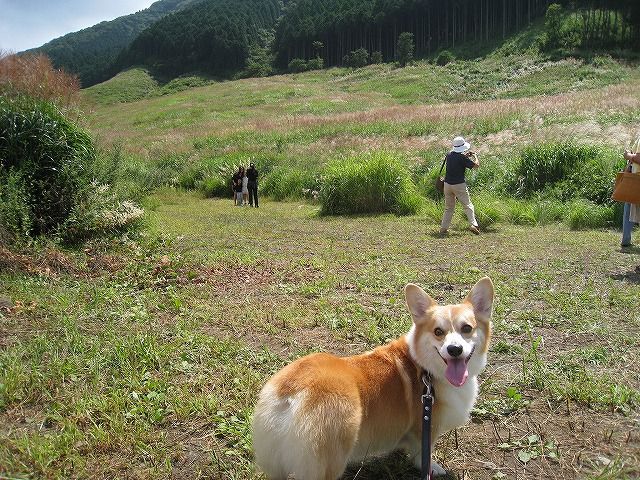 一足早く、箱根の千石原に行ってきました