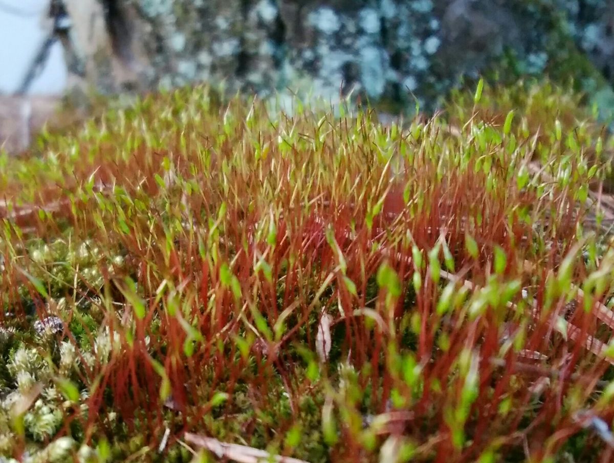 密度の高さに釘付け💚