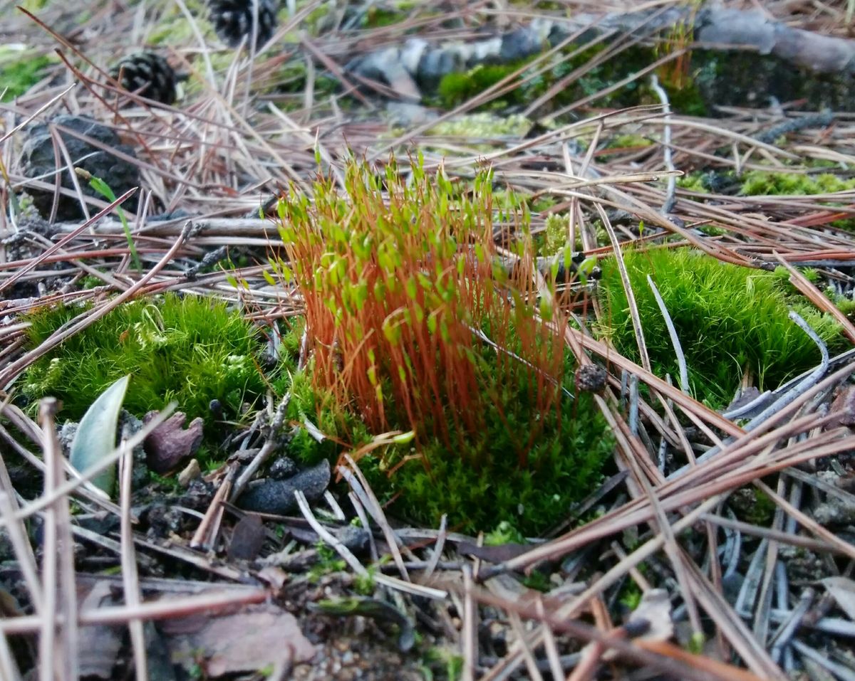 密度の高さに釘付け💚