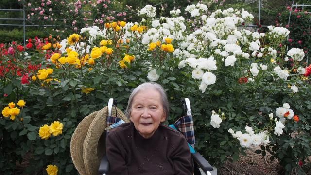 花散歩の一日Ⅱ