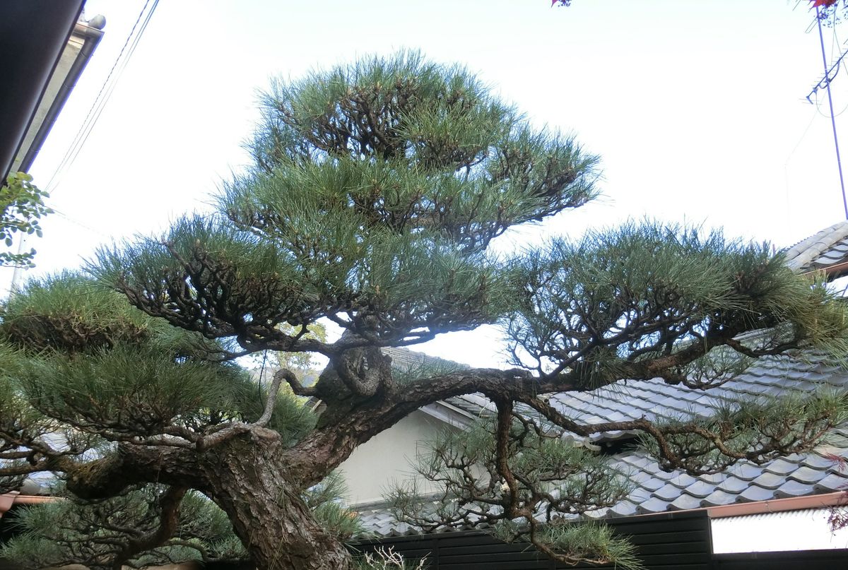 一日かけて