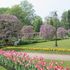 ベルギーの植物園５月・その１