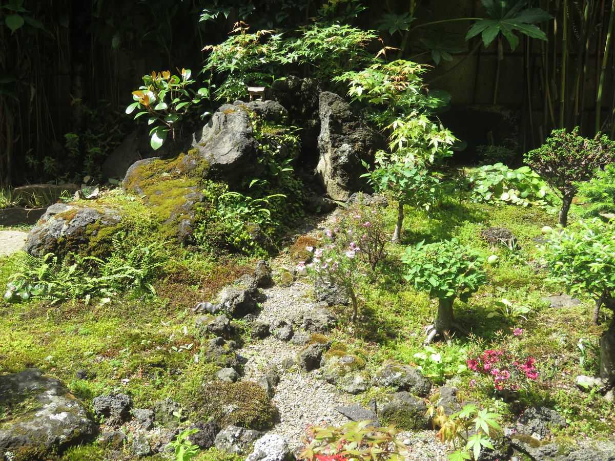 緑あふれる縮景苔庭