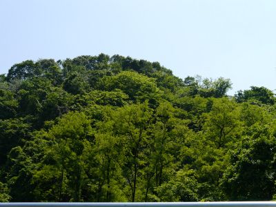 雨ですね