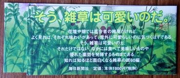 雑草ノオト