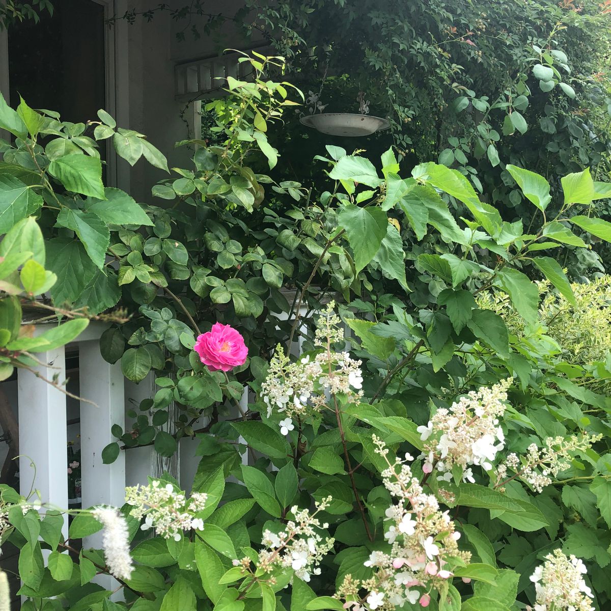 ついに！憧れの花屋さんへ