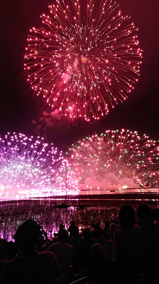 今年も綺麗に咲きました❗