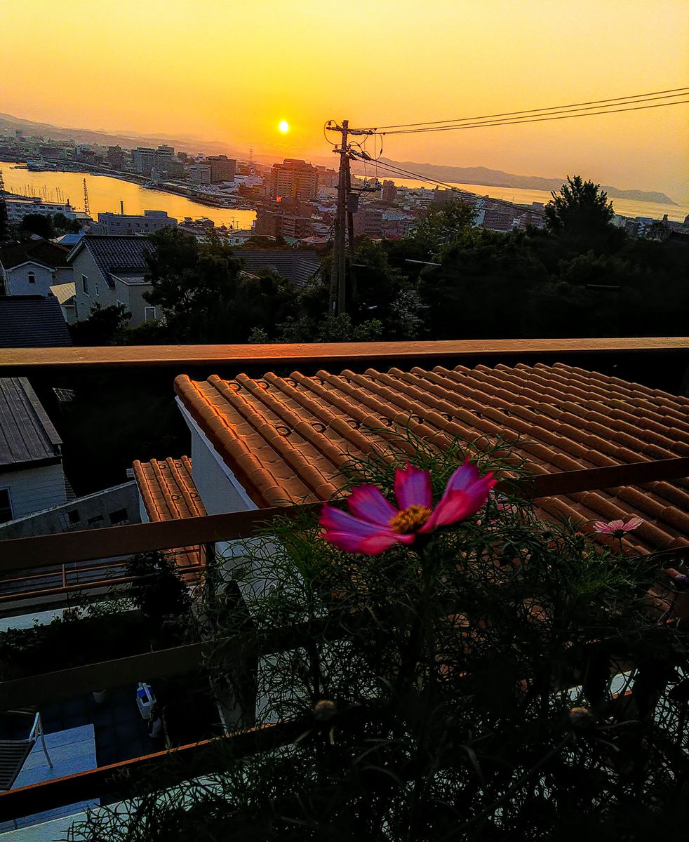 ベイエリアの日の出🌅