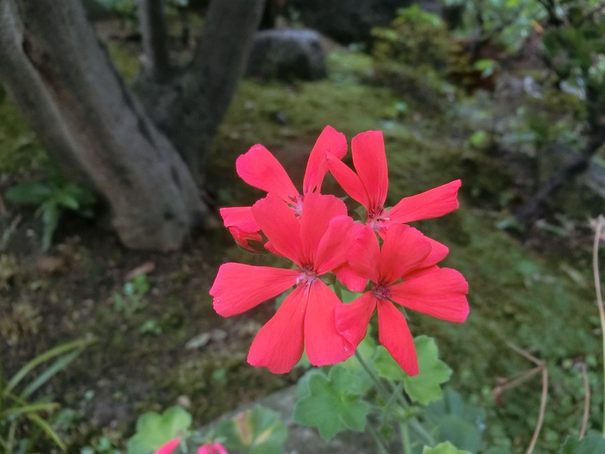 ホッと