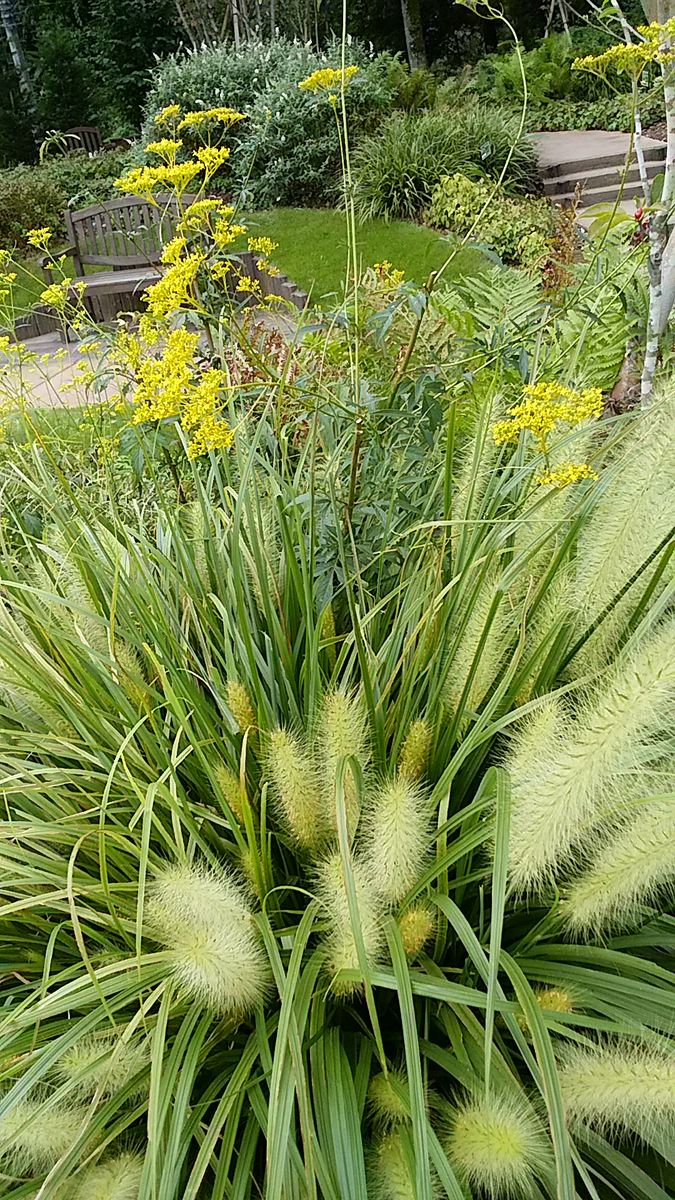 横川ハイウェイガーデン🌿