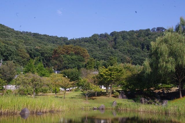 お彼岸は過ぎちゃったけど