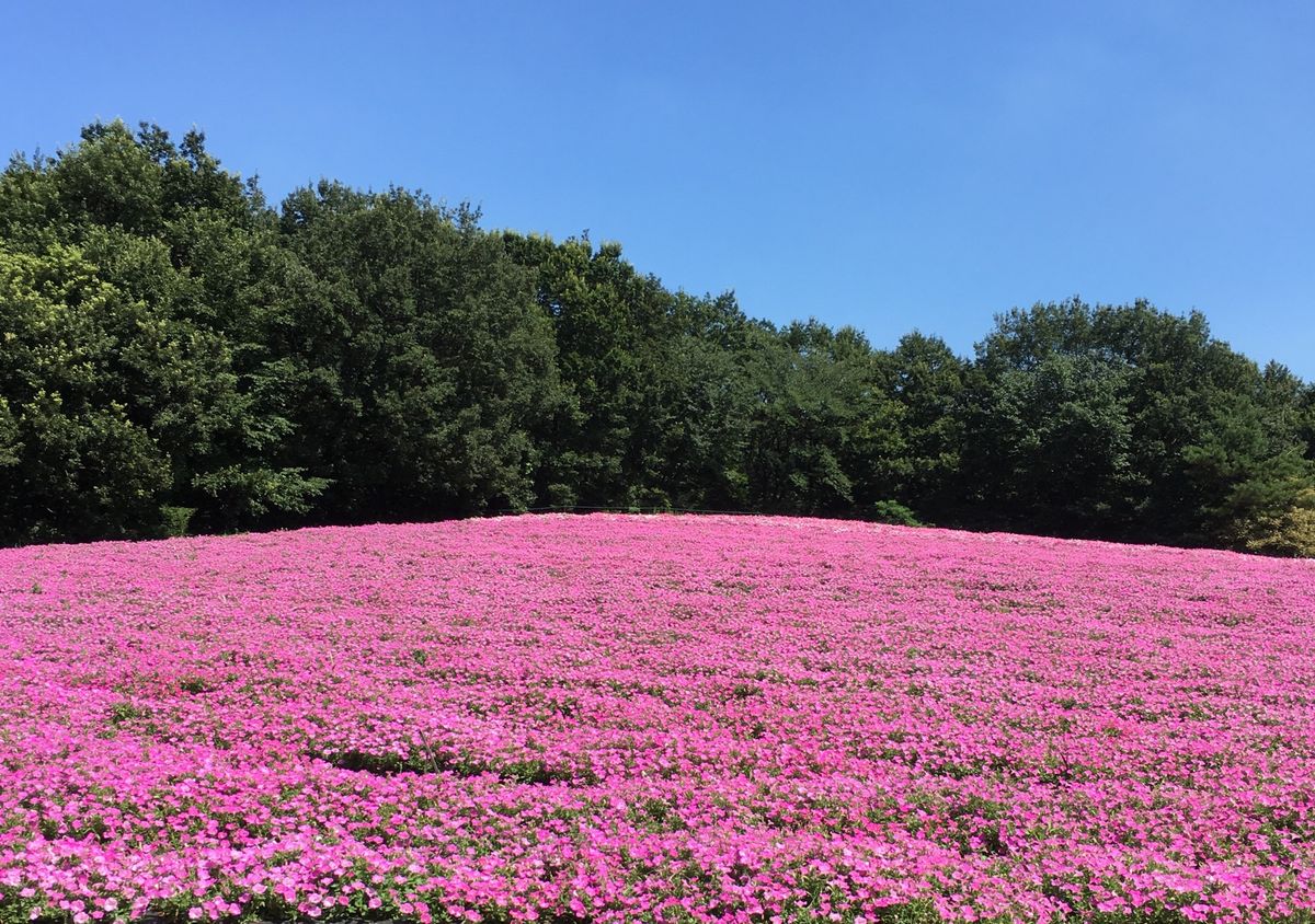 被害に遭われませんでしたか？