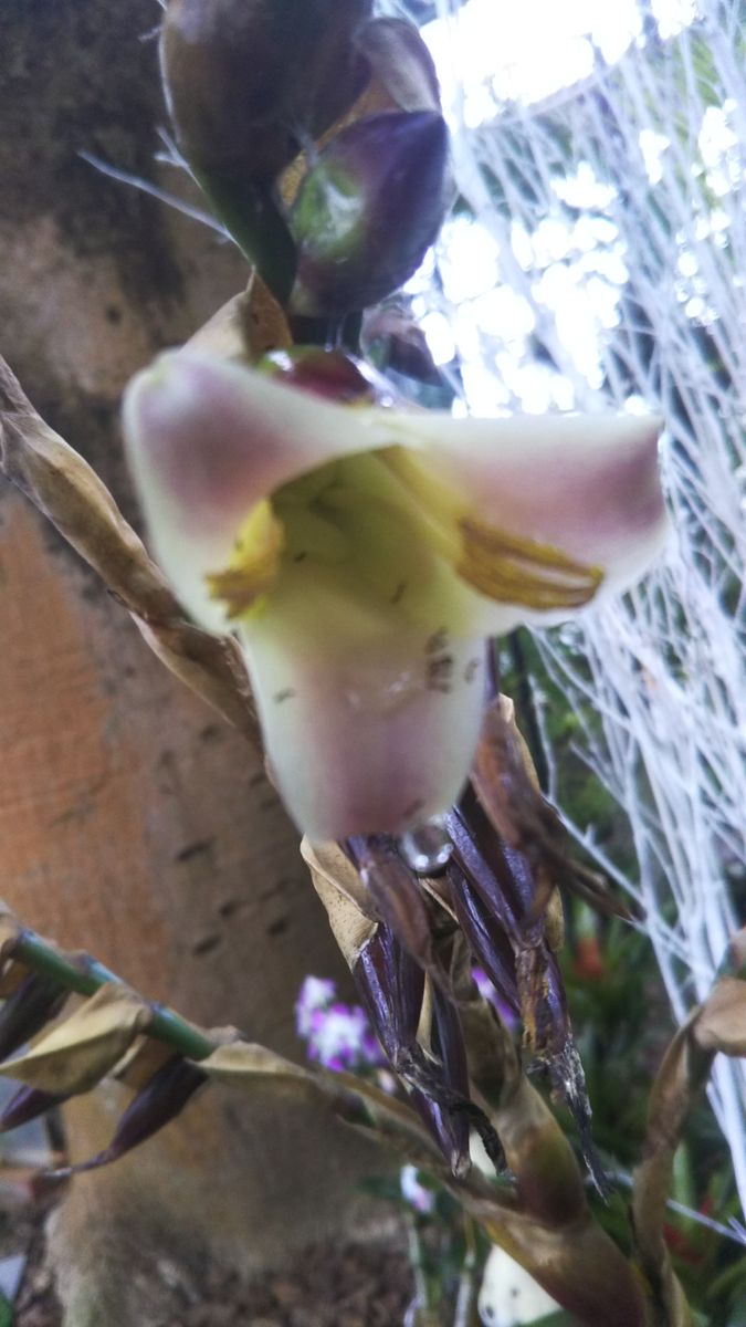 赤塚植物園へ