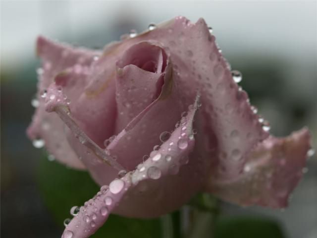 思いがけない雨