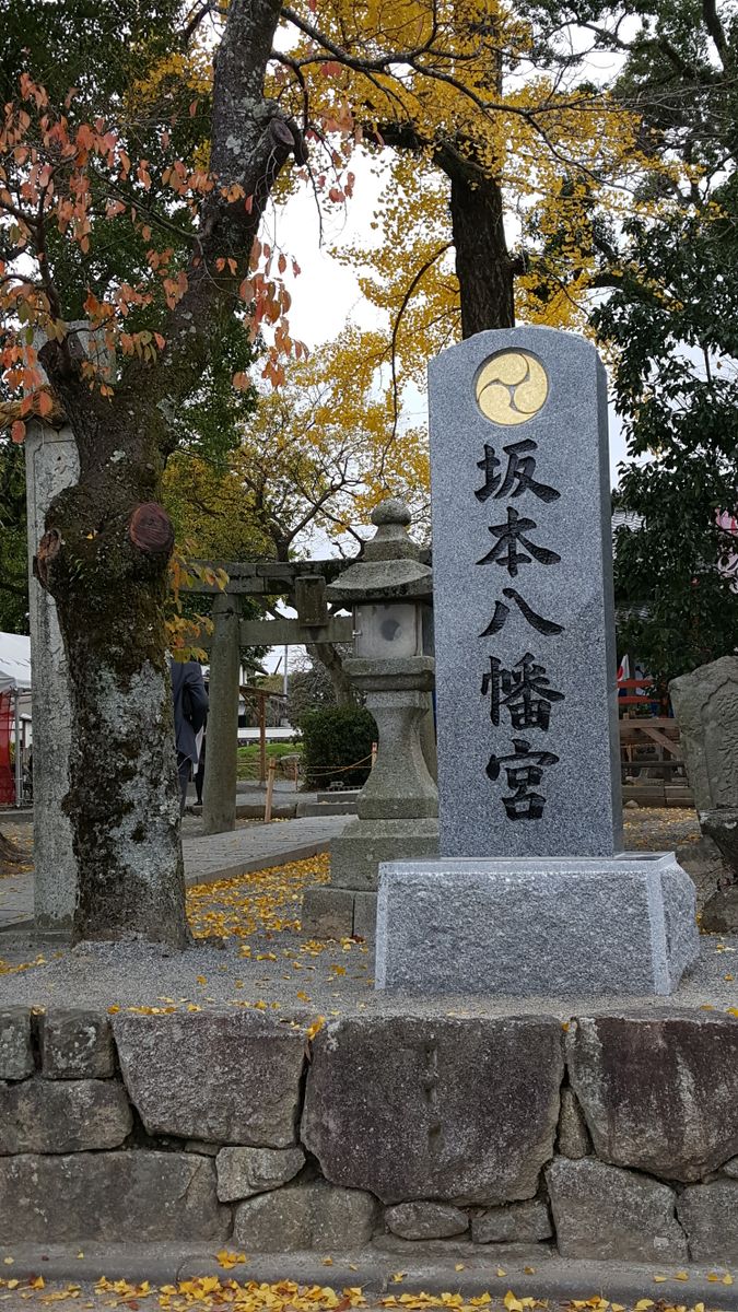 ふくおかルーバルガーデン2～晩秋の庭便り🍁🍂…令和になって迎えるはじめての冬🎁⛄🎄です。