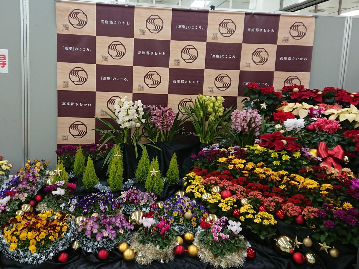 花便り・・・神奈川県花き展覧会