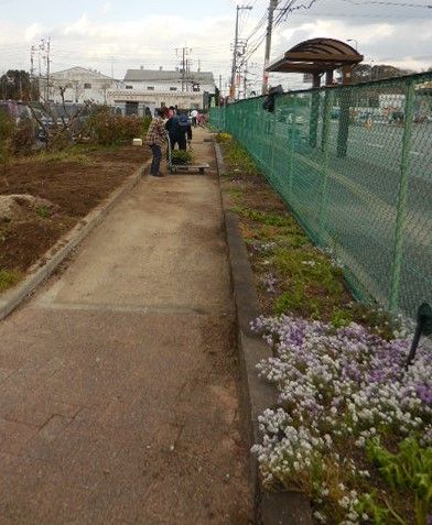 頑張るばーちゃん今日も園芸ボラ日・・