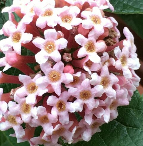 🌼教えてくださーい～💕