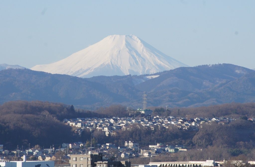 今朝もよく晴れて