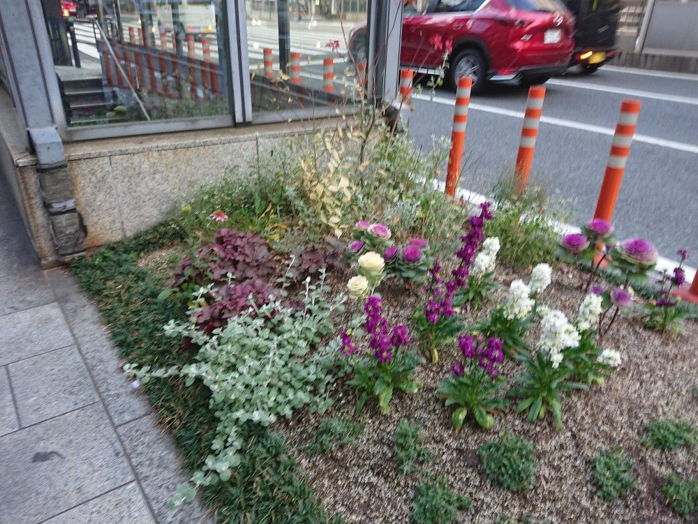 １／２２通勤途中の謎の花壇と生け花