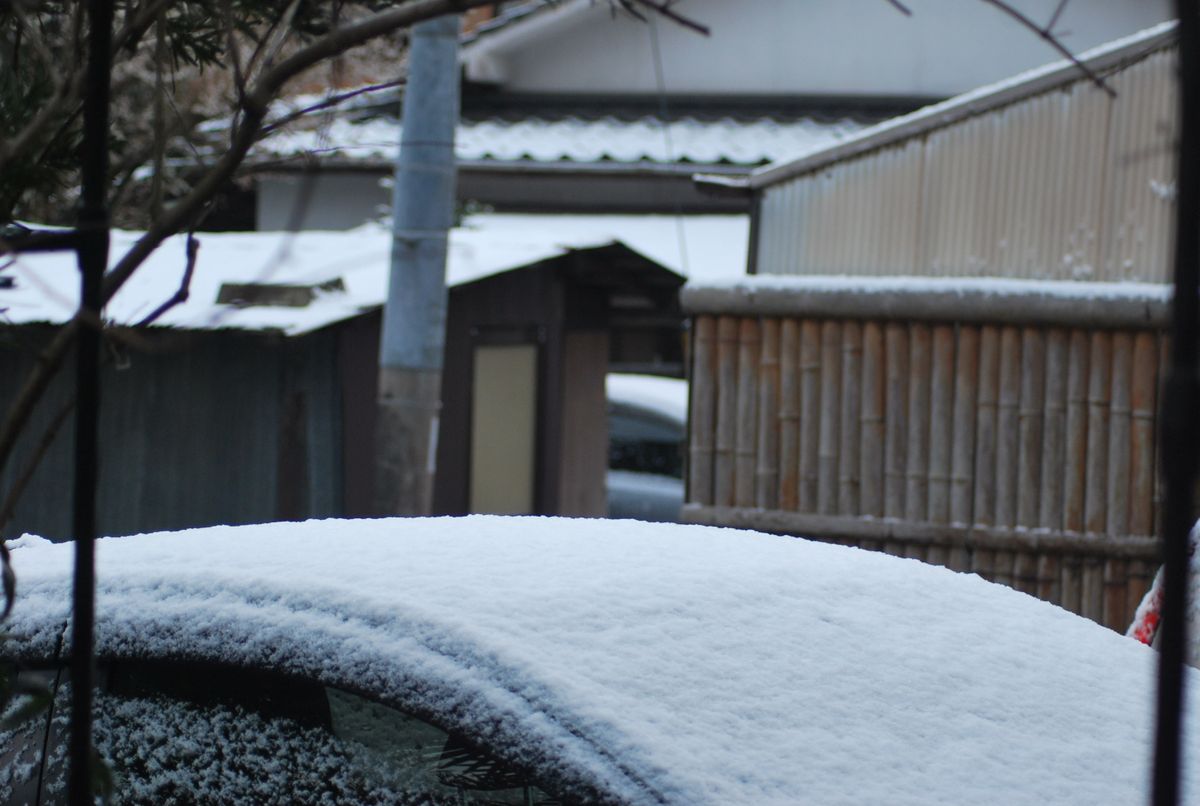 やはり　初雪だぁ～